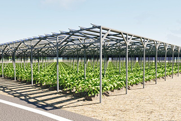 水戸ホーリーホック、「GXプロジェクト」開始  ソーラーシェアリングと有機農業で地域活性化