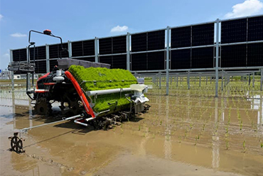 栃木県足利市に垂直設置型ソーラーシェアリング発電所が完成